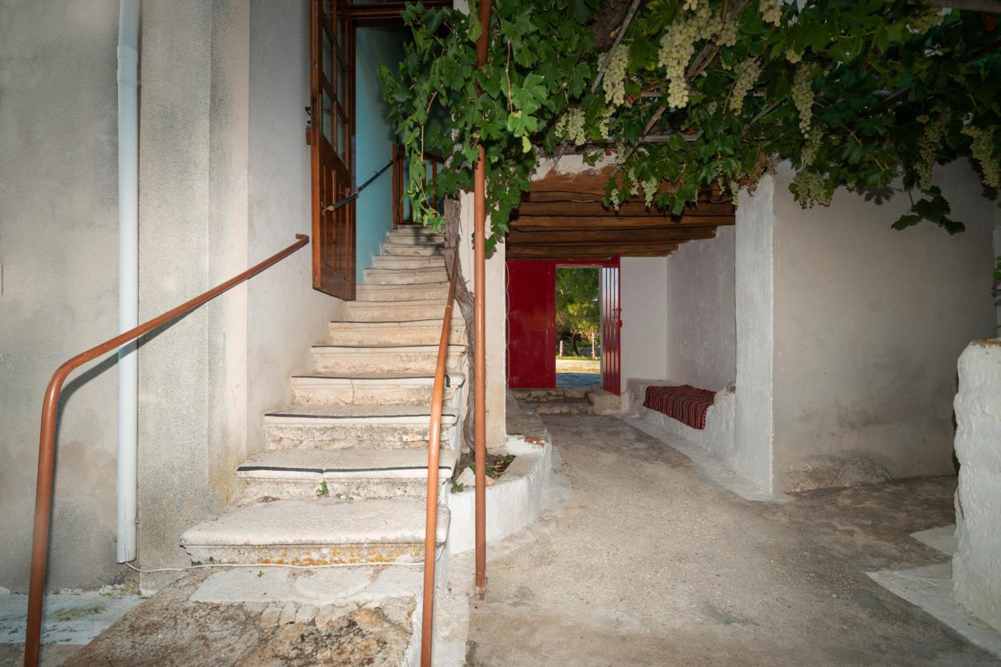 Marfo Natural Park * Maries (Zakynthos)